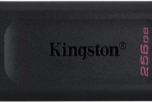 MEM UFD 256GB DTX KIN