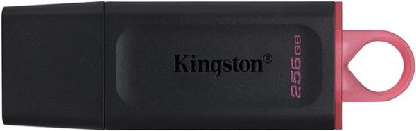MEM UFD 256GB DTX KIN